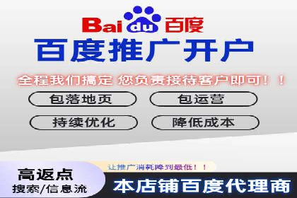 SEM推广优化实战：案例分析与启示